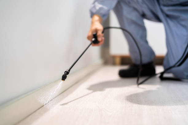 Certified termite inspector examining foundation in Deerfield