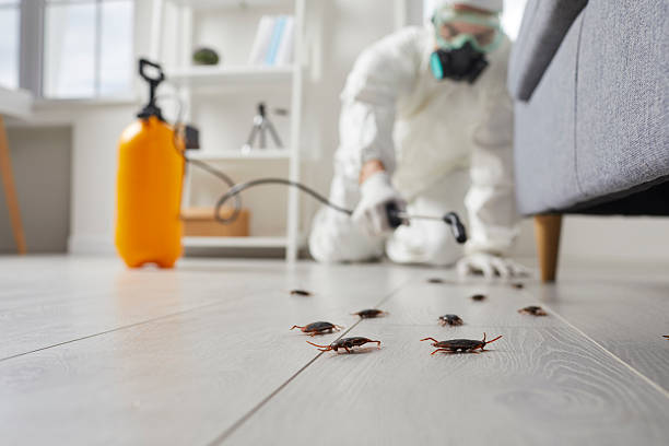 Commercial Kitchen Cockroach Control in Deerfield
